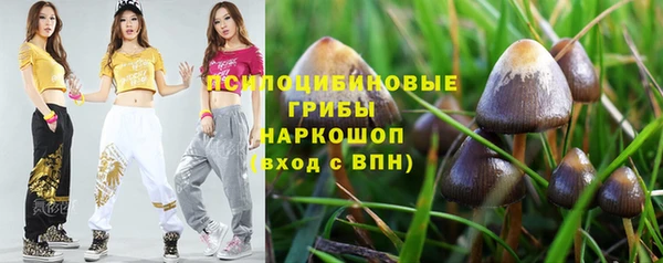 твердый Верхний Тагил