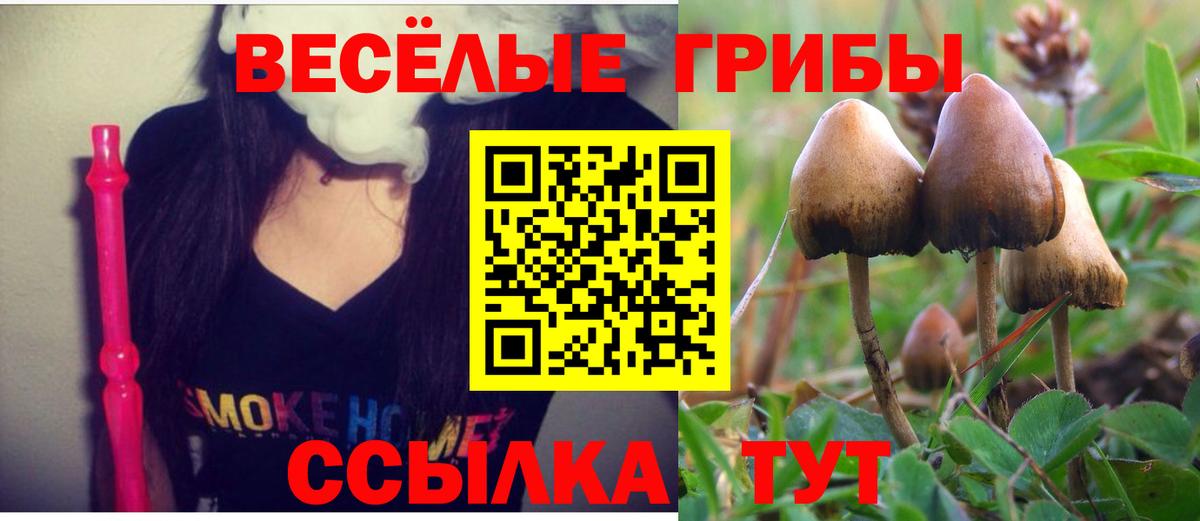 Мариинск  Псилоцибиновые грибы Magic Shrooms  Вход с VPN 