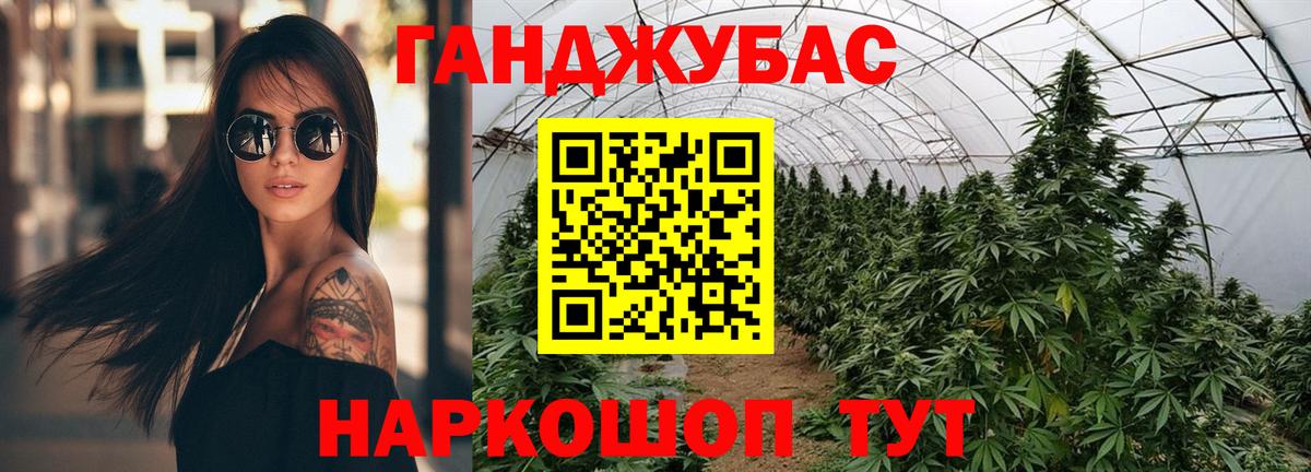 Бошки Шишки планчик  Конопля сатива  Мариинск  Вход с VPN  Канабис конопля 